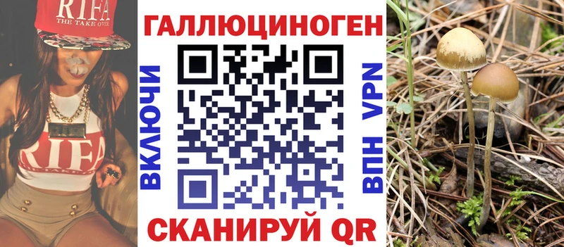 где можно купить наркотик  Сухиничи  Галлюциногенные грибы MAGIC MUSHROOMS 